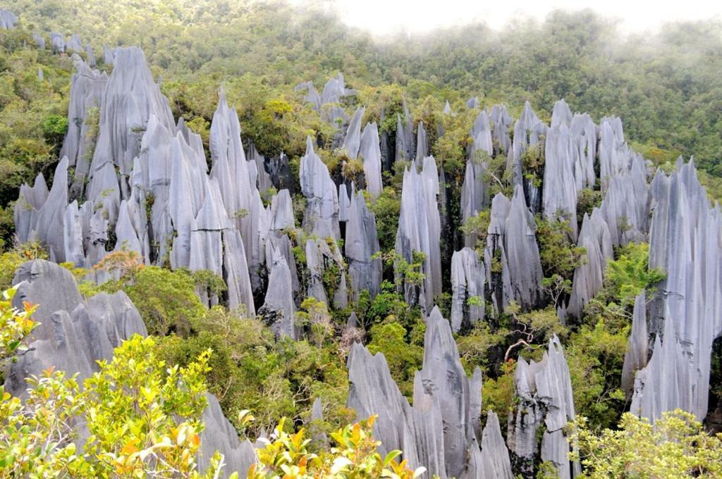 מלון Mulu National Park מראה חיצוני תמונה