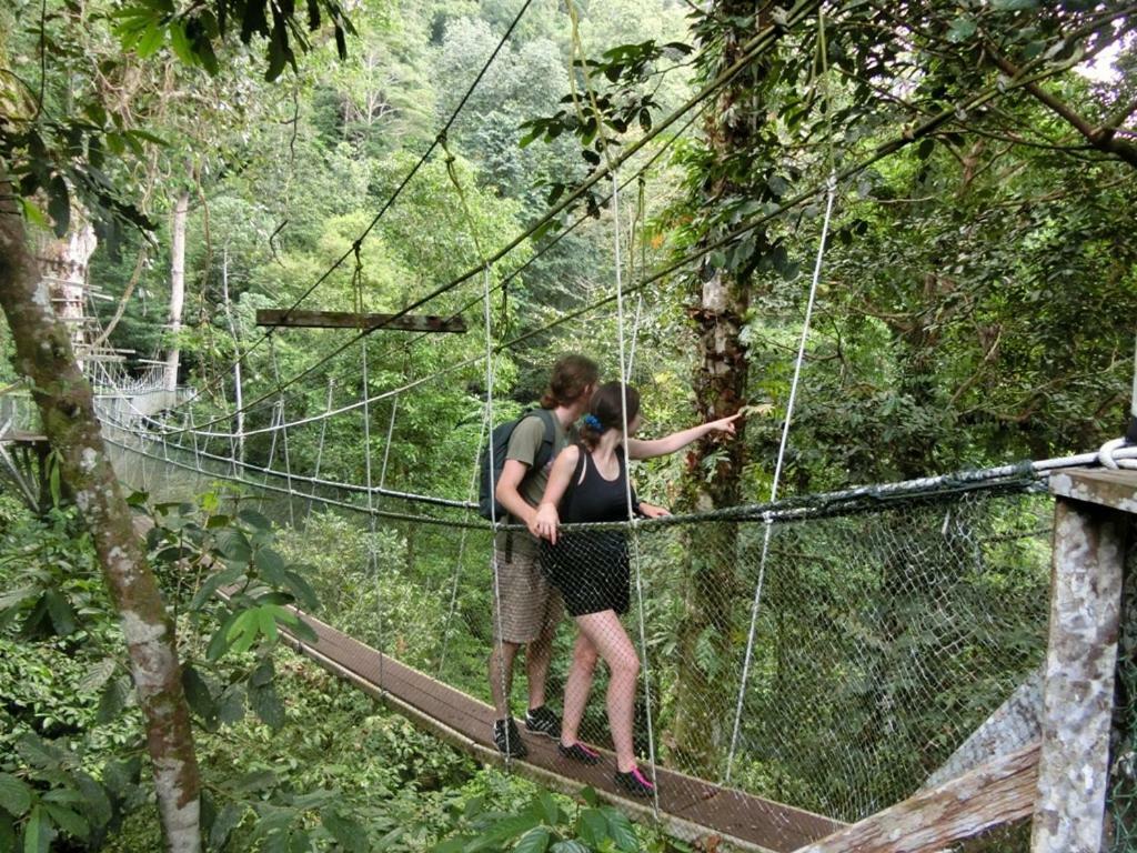 מלון Mulu National Park מראה חיצוני תמונה