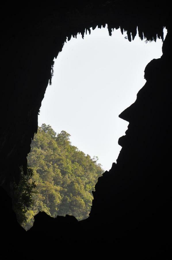 מלון Mulu National Park מראה חיצוני תמונה
